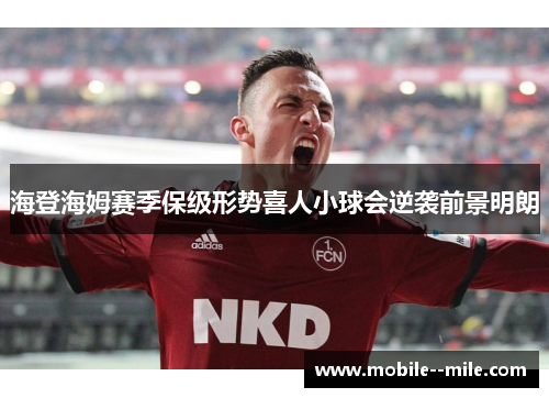 海登海姆赛季保级形势喜人小球会逆袭前景明朗